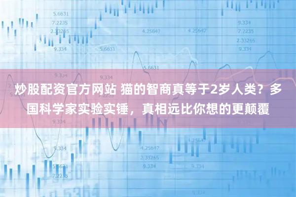 炒股配资官方网站 猫的智商真等于2岁人类？多国科学家实验实锤，真相远比你想的更颠覆